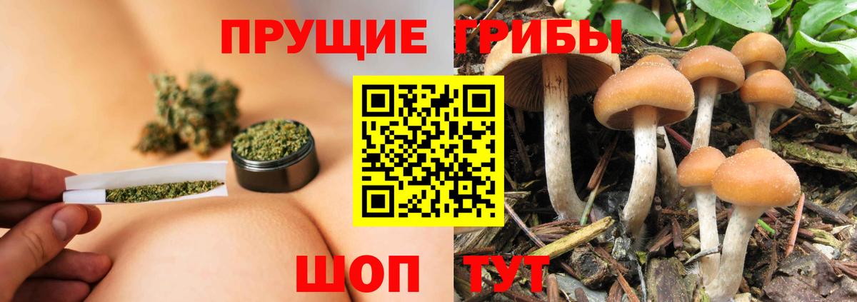 что такое   Вход с VPN  Галлюциногенные грибы прущие грибы  Камышин  Галлюциногенные грибы Magic Shrooms 