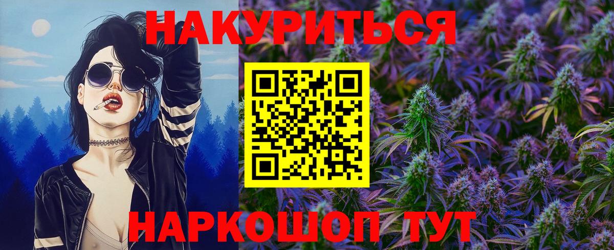 Каннабис план  Вход с VPN  Каннабис сатива  Камышин  МАРИХУАНА семена  Конопля сатива 